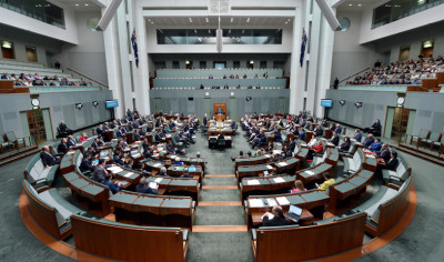 Members of the House of Representatives