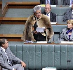 Ken Wyatt Maiden Speech